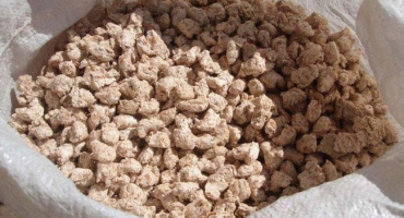 Složení krmných směsí pro křepelky a jak je krmit, jak to udělat sami